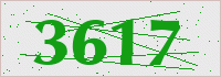 Validation Code