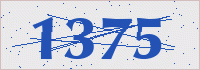 Validation Code